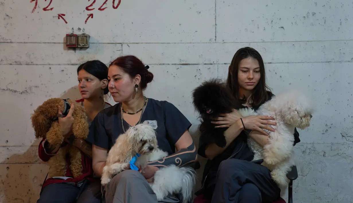 Hingga Rabu 25 Maret 2026, ketegangan antara Iran dan Israel telah terus meningkat. Tampak dalam foto, para pekerja salon anjing berlindung bersama anjing-anjing mereka di tempat perlindungan bom saat sirene serangan udara memperingatkan akan datangnya serangan rudal Iran di Ramat Gan, Israel, Rabu, 25 Maret 2026. (AP Photo/Oded Balilty)