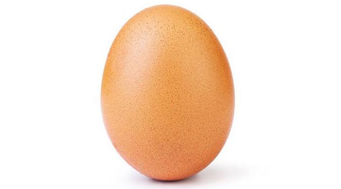 Foto telur: Dok: Instagram world_record_egg