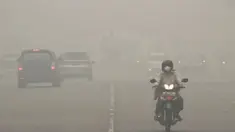Kota Pekanbaru, Riau masih diselubungi kabut asap dari kebakaran hutan dan lahan. Warga yang gelisah dengan kondisi ini pun mencari walikotanya untuk mengadu. Namun Walikota Pekanbaru Firdaus tengah tak berada di tempat, pergi ke China.