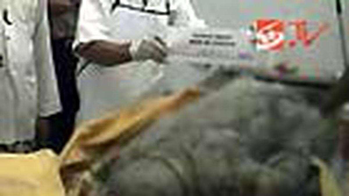 Mbah Maridjan Dipastikan Meninggal Dunia Video