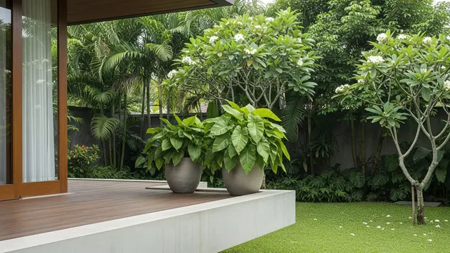 Model dengan Teras Tembok Rendah dan Gap Lebar