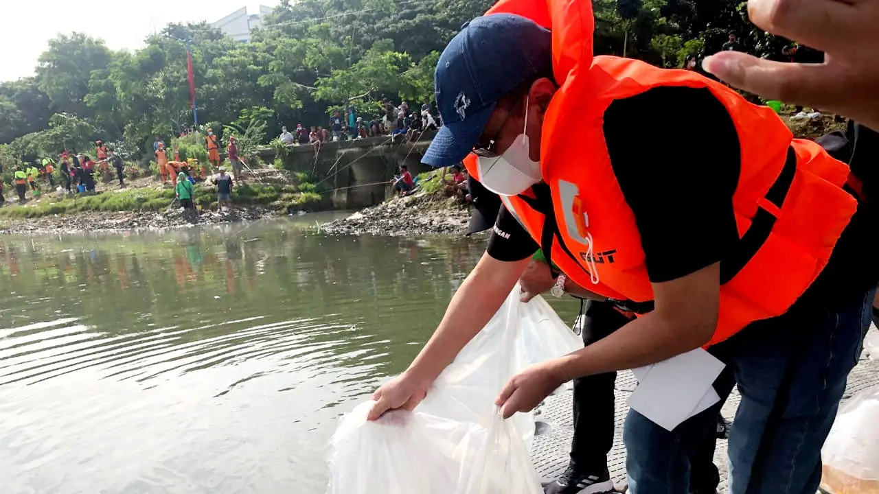 Ketua DPP PDIP Djarot Saiful Hidayat menabur ribuan benih ikan di Waduk Cincin, Jakarta Utara