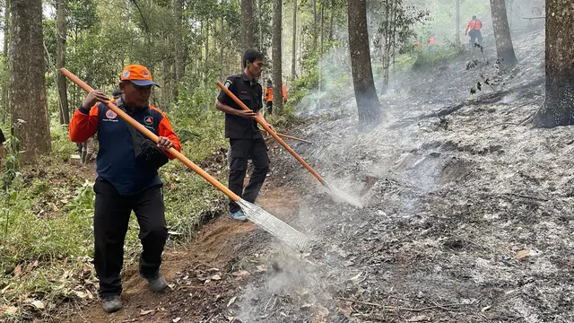 Petugas gabungan berusaha memadamkan kebakaran di Gunung Lawu. (Istimewa)