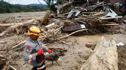 Banjir bandang dan tanah longsor yang menerjang wilayah Batang Toru, Tapanuli Selatan, Sumatra Utara, pada akhir November 2025 membawa material kayu gelondongan dalam jumlah besar. Operasi pencarian dan penyelamatan terus dilakukan tim gabungan. Tampak dalam foto, seorang petugas penyelamat memimpin anjing pelacak dalam operasi pencarian korban banjir di Batang Toru, Sumatra Utara, Rabu 3 Desember 2025. (AP Photo/Binsar Bakkara)