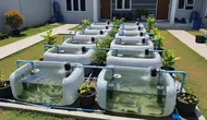 7 Cara Memulai Usaha Ternak Ikan Nila Panen 3 Bulan untuk Anak Muda, Modal Kecil Bisa Dicoba