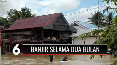 Telah 2 bulan berlalu, ratusan rumah di Luwu Utara, Sulawesi Selatan, masih terendam banjir. Akibatnya, puluhan rumah rusak, termasuk putusnya akses jalan antar desa.