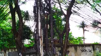 Kabel Kusut di Jantung Kota: Potret Kumuh di Tengah Megahnya Jakarta