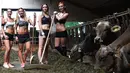 Empat gadis petani Bavaria berpose di kandang sapi di sebuah peternakan di Apfeldorf, Jerman Selatan, Rabu (22/6). Pemotretan gadis ini untuk sampul kalender 2017 yang juga sebagai penghormatan para petani perempuan di Bavaria. (Christof Stache/AFP)