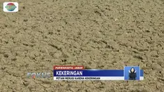 Warga tujuh kecamatan di Bandung Barat kesulitan air bersih karena sejumlah waduk dan embung mengering.