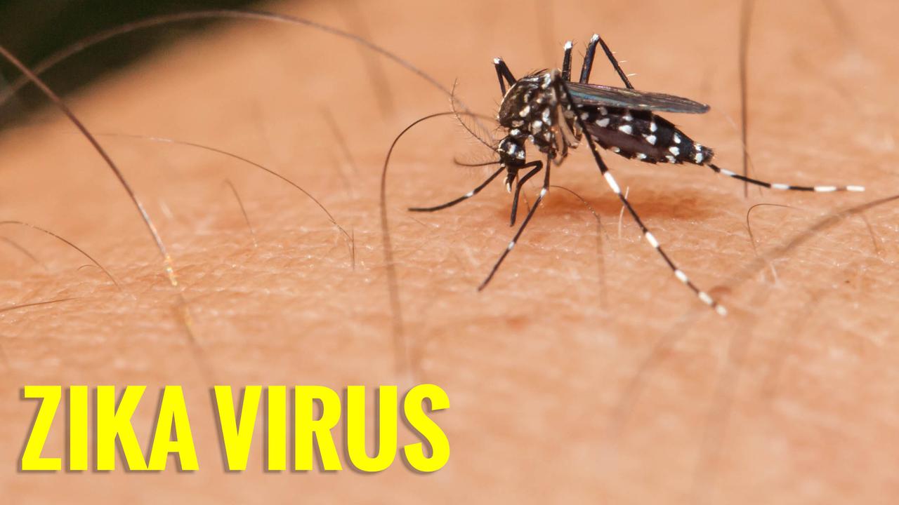 Virus Zika