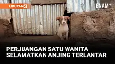 Feven Melese mendedikasikan hidupnya untuk menyelamatkan ribuan anjing terlantar di Addis Ababa, Ethiopia. Bersama tim kecilnya, ia memberi makan sekitar 700 anjing liar setiap minggu dan menampung puluhan lainnya di tempat perlindungan sederhana.