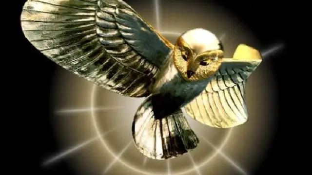 La chouette d’or, burung hantu emas