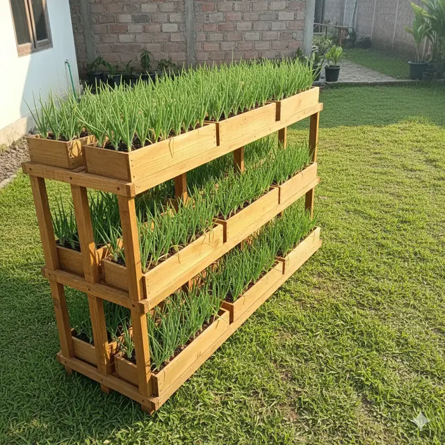 Kebun Bawang Merah 2×2 m di Halaman Belakang Rumah (Foto: Gemini AI)