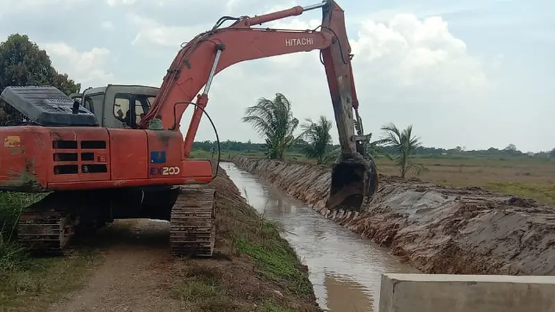 Genjot Produksi Pertanian, Kementan Optimasi Lahan Rawa 500 Hektar di Aceh Utara