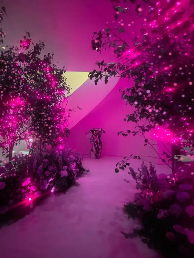 Menolak Tua, Vera Wang Selebrasi Ulang Tahun ke-73 dengan Outfit dan Rambut Pink