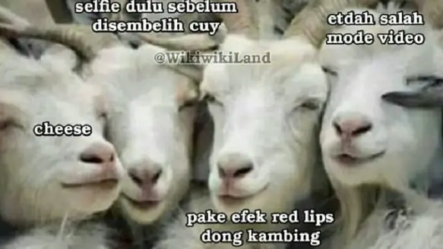 7 Meme Absurd Kambing Jelang Hari Raya Idul Adha Ini Kocak