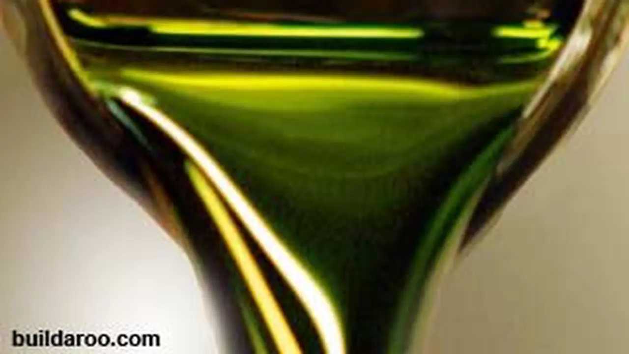 110407bsiluet-biodiesel.jpg