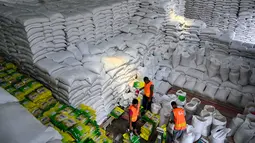 Saat ini, persediaan beras Bulog di Provinsi Aceh mencapai sekitar 97 ribu ton. Tampak dalam foto, para pekerja menyortir karung-karung beras di gudang Badan Urusan Logistik (Bulog) di Lambaro, Provinsi Aceh pada 29 Desember 2025. (CHAIDEER MAHYUDDIN/AFP)