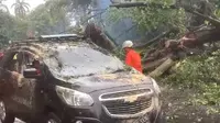 Pohon tumbang menimpa tiga kendaraan dan dua warung di Jalan Juanda, Kota Bogor, Selasa (1/4/2025). Akibat peristiwa ini, dua orang dilaporkan terluka. (Liputan6.com/Achmad Sudarno)
