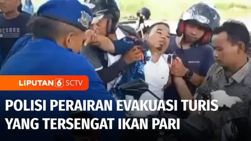 VIDEO: Waspada Bahaya di Tempat Wisata, Polisi Evakuasi Turis yang Tersengat Ikan Pari