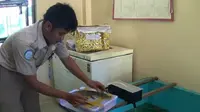 Kotak Paket Komputer Ternyata Berisi Bayi Buaya Jambi 