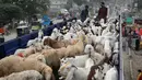 Pedagang Pakistan bersiap menurunkan ternak mereka dari truk di sebuah pasar yang disiapkan untuk Idul Adha di Lahore, Minggu (12/8). Umat Islam di seluruh dunia akan merayakan Hari Raya Idul Adha yang identik dengan tradisi berkurban. (AP/K.M. Chaudary)