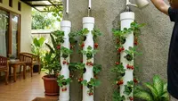 9 Ide Kebun Buah Vertikal di Teras, Konsep Kebun Modern dan Produktif