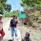 Lahan hutan lindung Walanae (Liputan6.com/Fauzan)