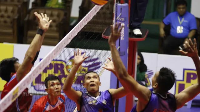 Proliga