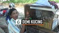 thumbnail nomaden demi kucing