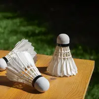 ilustrasi Rutin Main Badminton Bisa Turunkan Kolesterol? Ini Faktanya/freepik.com