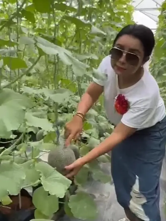 Mayangsari di kebun melon (Instagram/mayangsari_official)