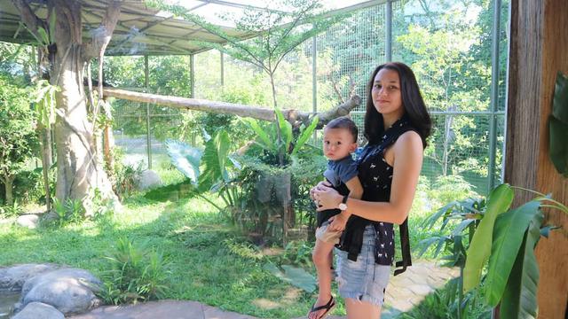 [Bintang] Dahlia Poland