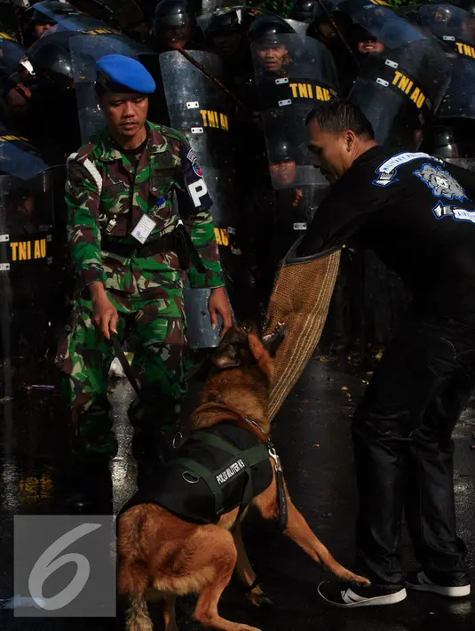 Seekor anjing saat mengikuti simulasi giat pengamanan pangkalan udara di Lanud Adisucipto Yogyakarta, (26/5). Simulasi di selenggarakan untuk mengantisipasi aksi kerusuhan saat terjadi unjukrasa. (Liputan6.com/Boy Harjanto)