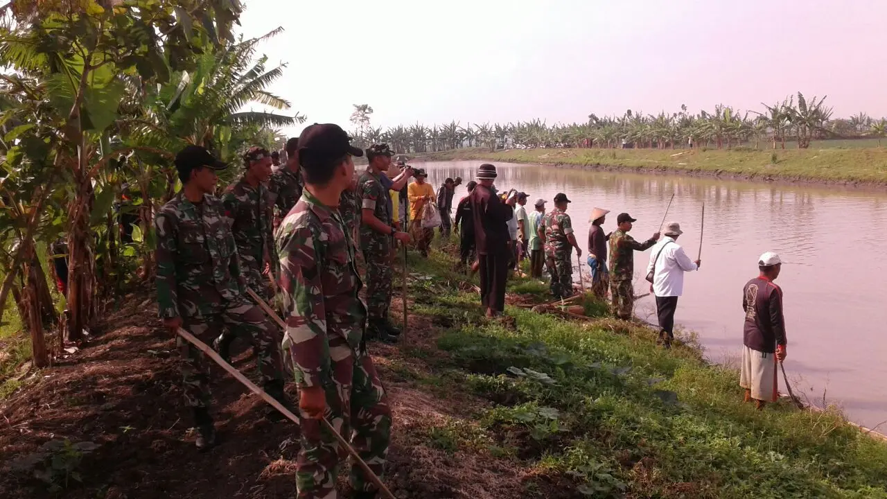 Dibantu petani, TNI perang lawan hama tikus