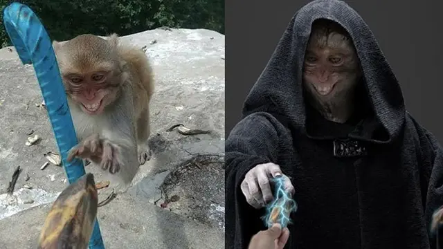 Editan kocak (Sumber: Boredpanda)