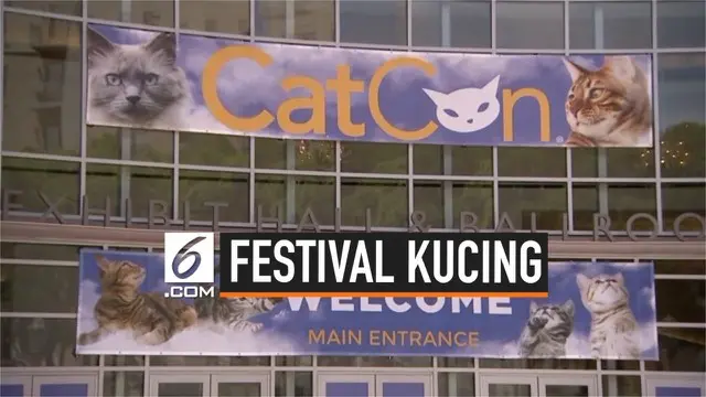 VIDEO: Festival Catcon, Ajang Terbesar Bagi Pecinta Kucing