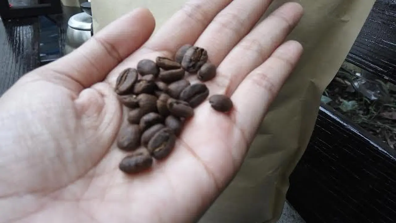 Kelahi Kopi