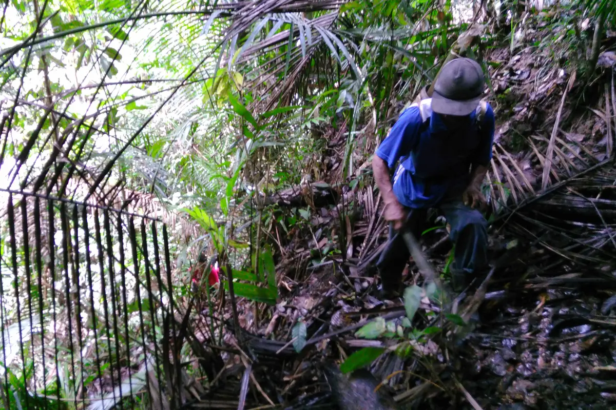 Hutan Adat Marena