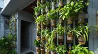 8 Cara Membuat Taman Vertikal dari Botol Bekas, Cocok Buat di Teras atau Halaman Belakang