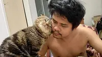 Seekor kucing sangat manja dengan suami majikannya. Sumber: BoredPanda