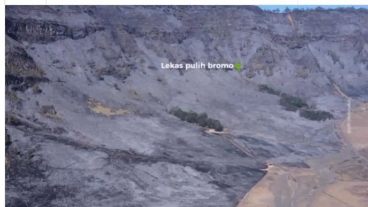 Bikin Miris, Viral Video Pemandangan di Savana Gunung Bromo Sebelum dan Sesudah Terbakar