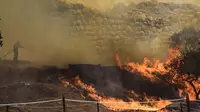 Kebakaran hutan terjadi di dekat reruntuhan situs Zaman Perunggu Mycenae di Yunani. (Eurokinissi / AFP)