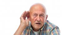 Gangguan Pendengaran Pada Lansia