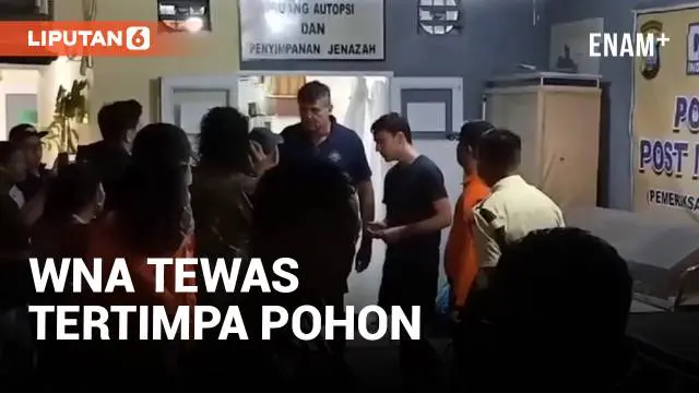 Seorang warga negara asing asal Perancis tewas usai tertimpa pohon tumbang di sebuah tempat penginapan di daerah Sungai Pisang, Kecamatan Bungus, Kota Padang, Sumatera Barat. Jenazah korban dievakuasi petugas Basarnas dan Polsek Bungus ke Rumah Sakit...