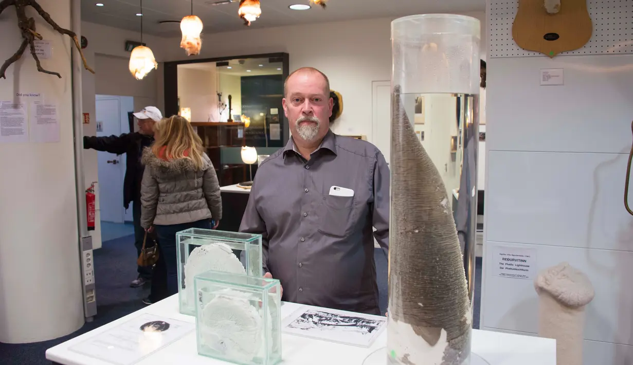 Kurator Museum Falologi Islandia, Hjortur Sigurdsson berpose diantara koleksi penis yang ada di Museum Falologi Islandia, Reykjavik, Islandia (27/10). Sekitar 118 di antaranya adalah penis mamalia darat dan 55 penis ikan paus. (AFP/Halldor Kolbeins)