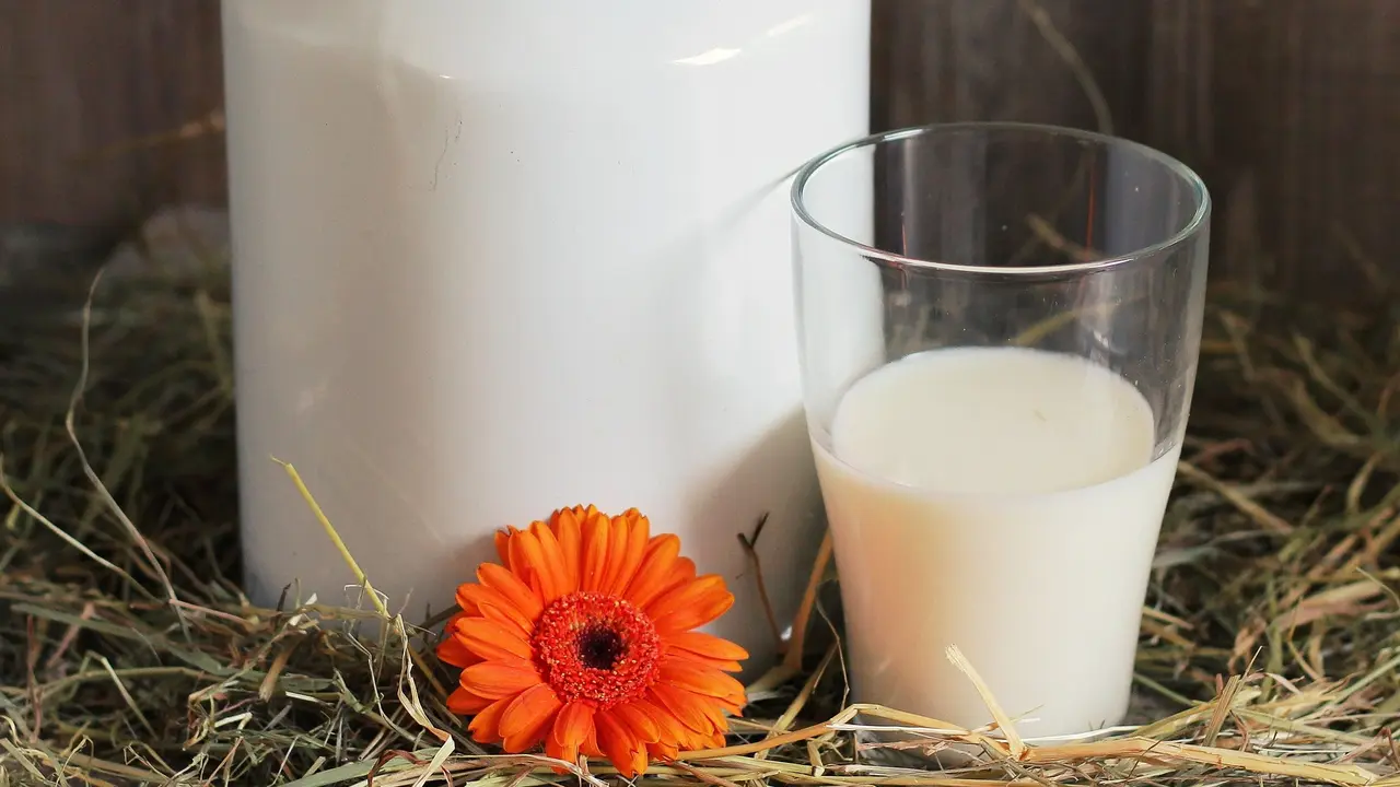 susu
