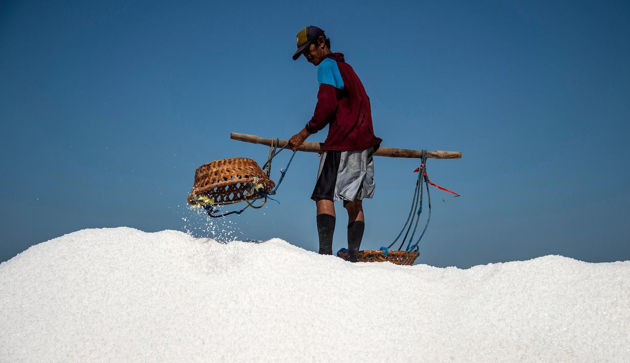 Petani memanen garam di Sidoarjo, Jawa Timur, 16 September 2019. Menurut petani, meningkatnya produksi garam saat musim kemarau dari lima ton menjadi delapan ton per minggu, mengakibatkan harga garam di tingkat petani tradisional untuk kualitas nomor satu menurun. (Juni Kriswanto/AFP)