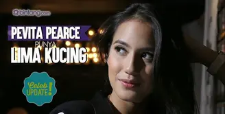 Pevita Pearce sering main dengan kucing-kucingnya. 