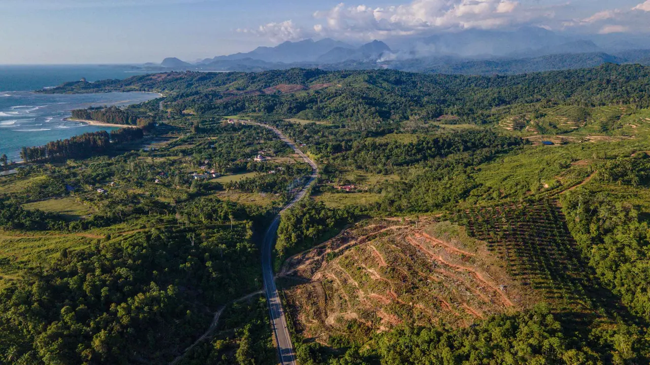 Dampak Deforestasi, Tutupan Hutan Aceh Kritis Sejak 15 Tahun Lalu